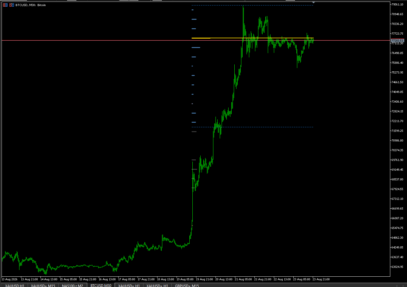 Anchorage Profile on BTCUSD M30: volume-at-price histogram with POC and value area.